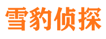 赣县侦探公司